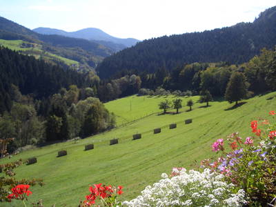 Bild 4 aus  Hirzighof