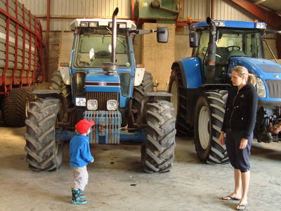 Bild 6 aus  Houdam Farm