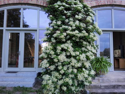 Bild 9 aus  Landhaus Jakob