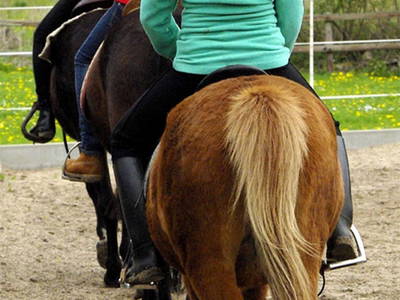 Bild 18 aus  Sonis kleine Farm Grömitz