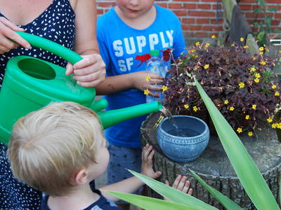 Bild 68 aus  Ahoi Ostsee:  Bauernhof und OstseeUrlaub - Ferienhof Becker in Dahme