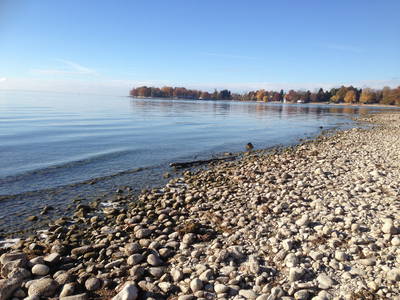 Herrliche Bodenseeidylle