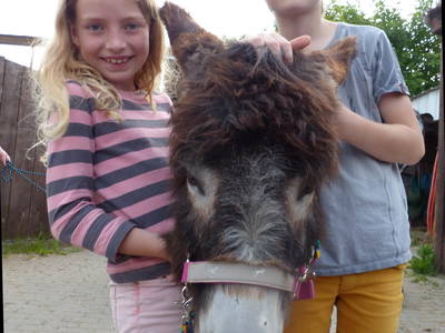 Bild 29 aus  Freizeit- und Ferienreiterhof Odenwald