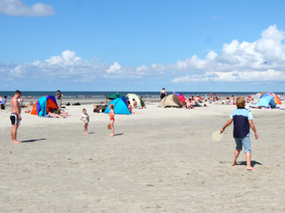 Bild 35 aus  Ferienhof Peter -  Ponys - streicheln, striegeln, füttern  -  Wattwanderungen + ganz viel Nordsee