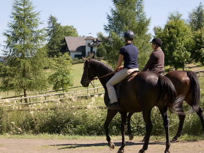 Bild 17 aus  LandSelection LANDGUT PFAUENHOF