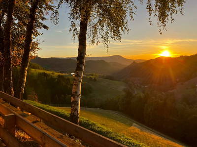 Bild 71 aus  Ferienhaus - Ferienwohnungen Müllerbauernhof im Schwarzwald.