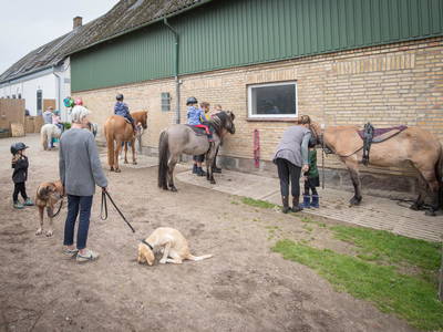 Bild 11 aus  LINDENHOF- BAUERNHOFURLAUB / OSTSEENÄHE