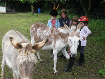 Bild 15 aus  Hof Carmshausen & Pension Hotze