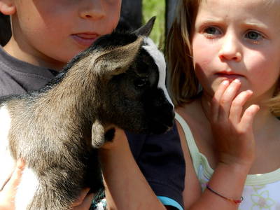 Bild 13 aus  Lärchhof