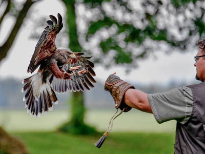 Bild 34 aus  Ferienhof Rösch