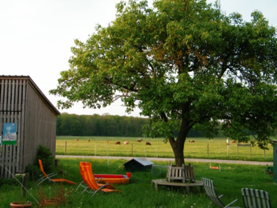 Bild 9 aus  Bauernhof Härtel