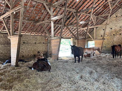 Bild 8 aus  Gutshof Hungerburg