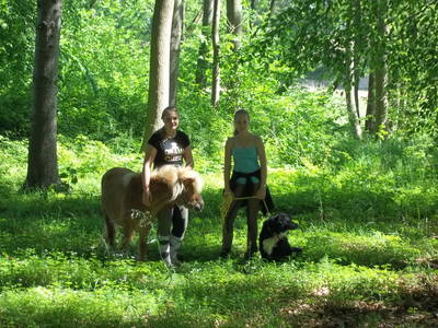 Bild 22 aus  Dreiseithof Schmadebeck