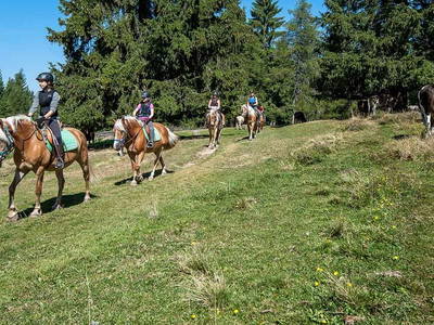 Bild 41 aus  Wietererhof