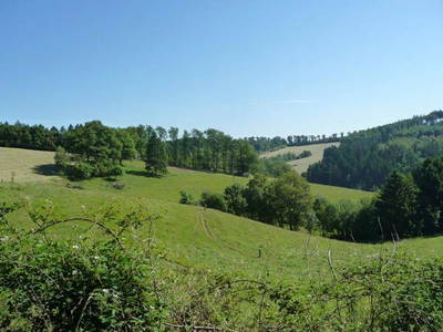 Bild 23 aus  Hof Hagdorn