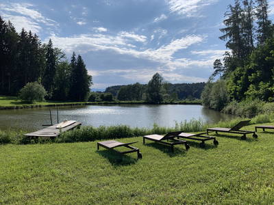 Bild 35 aus  Gut Hornegg