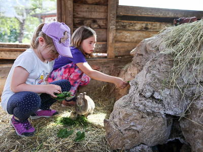 Bild 24 aus  Ferienhof Feinen