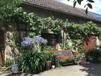 Bild 13 aus  Ferienhof Tillich - Erholsamer Landurlaub nahe dem Spreewald