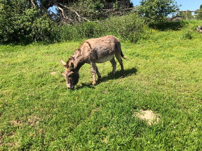 Bild 19 aus  Weidererhof