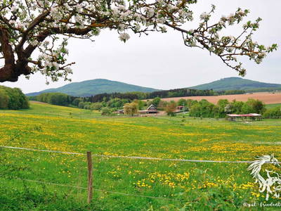 Bild 16 aus  Gut Friedenthal