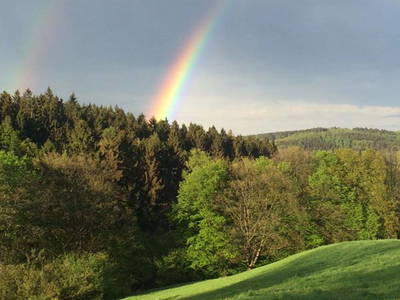 Bild 21 aus  Hof Hagdorn