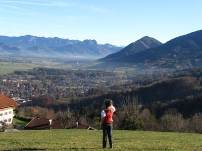 Bild 17 aus  Koglhof