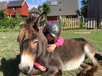 Bild 15 aus  Ferienhof Lorenzen