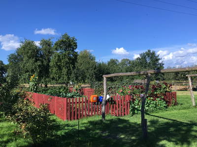 Bild 6 aus  Ferienhof Tillich - Erholsamer Landurlaub nahe dem Spreewald