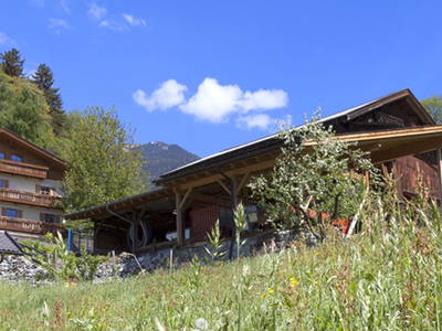 Bild 2 aus  Thalerhof