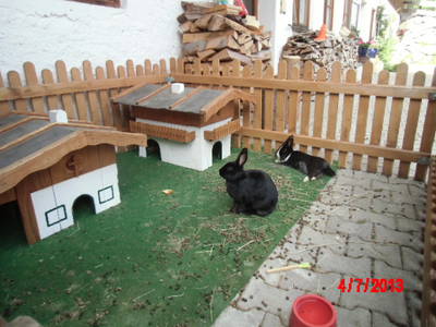 Bild 17 aus  Bucherhof