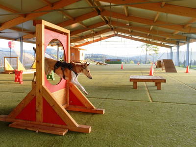 Training und professionelle Seminare