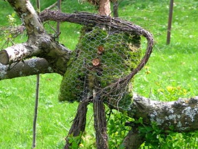 Bild 17 aus  Grashöfle