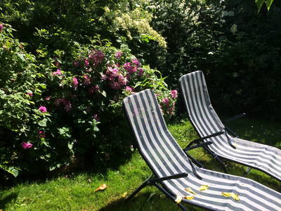 Bild 29 aus  Ferienhof Nielson