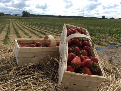 Bild 16 aus  Müritz-Hof Knust