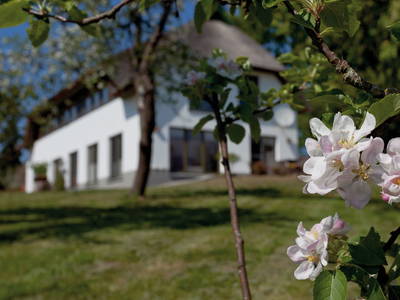Bild 10 aus  Biberburg und Schwalbennest