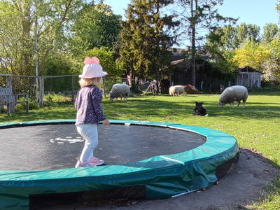 Bild 82 aus  Ahoi Ostsee:  Bauernhof und OstseeUrlaub - Ferienhof Becker in Dahme