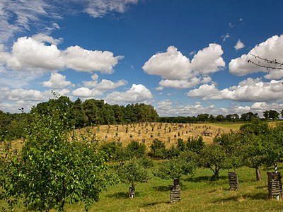 Bild 20 aus  Behringhof am Gamengrund