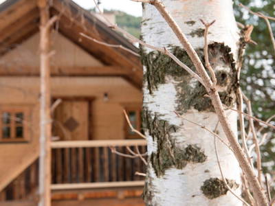 Zirbenlandappartement mit eigenem Aufgang, mit Terrasse....