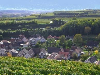 Bild 11 aus  Winzerhof