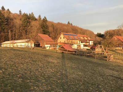 Bild 29 aus  Dürrenhof