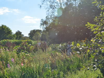 Bild 13 aus  An Den Wiesen - Gasthaus am Finowkanal