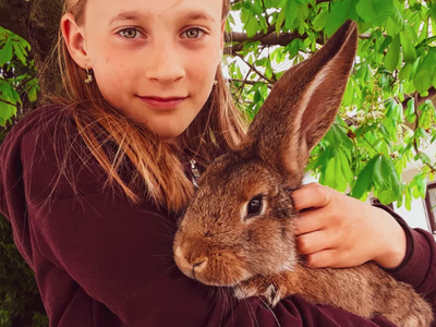 Bild 12 aus  Knödler Stadel