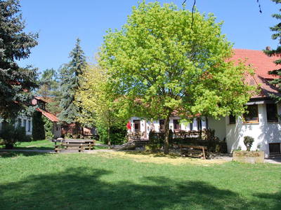 Bild 31 aus  Landhotel-Ferienhof Schneider