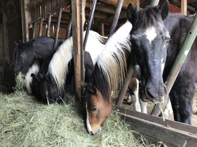 Bild 21 aus  Weidererhof