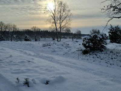 Bild 37 aus  Hof Höpen