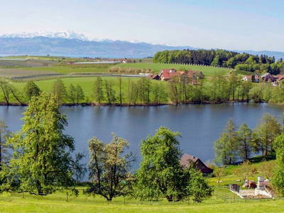 Bild 54 aus  Hofgut Schleinsee  - idyllisch am eigenen See