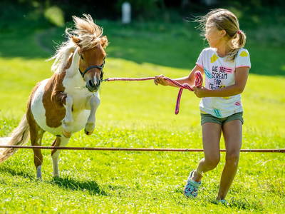 Bild 13 aus  LandSelection Hanznhof