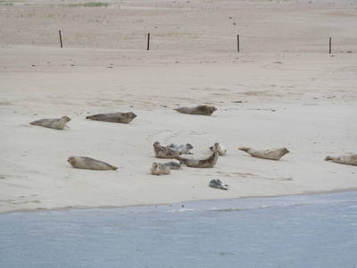 An uns fährst du mit dem Schiff vorbei