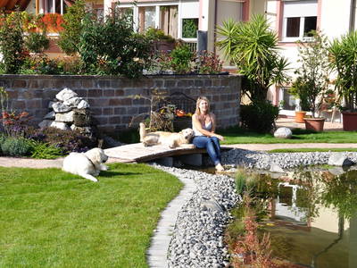 Bild 9 aus  Brunnenhof Hiss