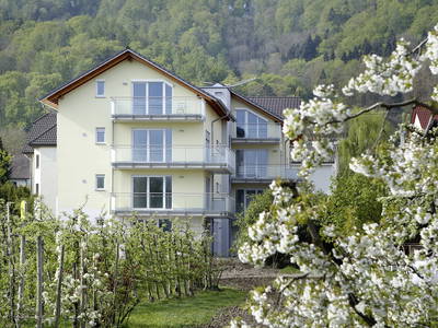 Bild 5 aus  Obst- und Ferienhof Sohm